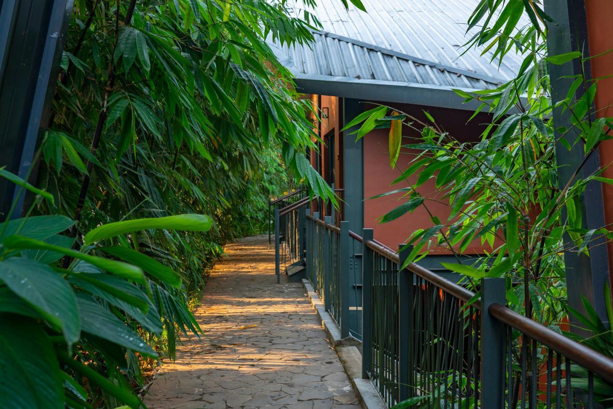 Vyna Hillock Resort And Spa Vythiri Exterior foto